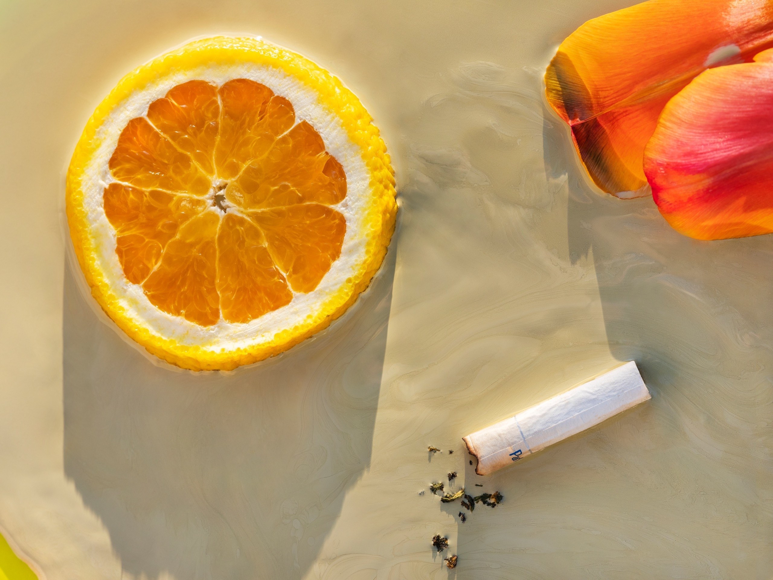 A slice of orange, a cigarette bud and some orange petals, on an orange-beige background.